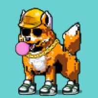 DogePunks #966