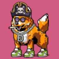 DogePunks #4466