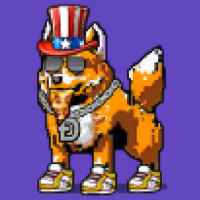 DogePunks #2808