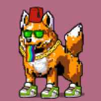 DogePunks #1365