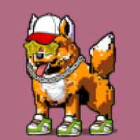 DogePunks #3429