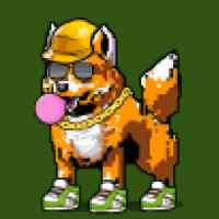 DogePunks #1121