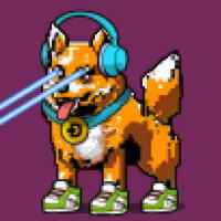 DogePunks #2897