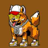 DogePunks #2253