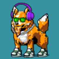 DogePunks #1858