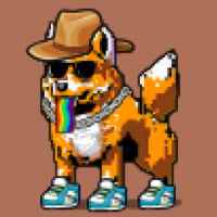 DogePunks #914
