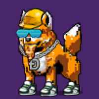 DogePunks #1458
