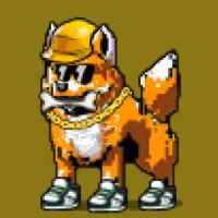 DogePunks #664