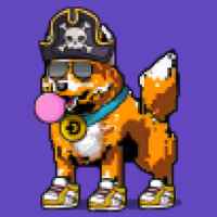 DogePunks #4877