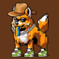 DogePunks #3235