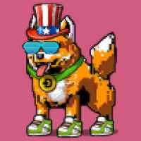 DogePunks #717