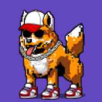 DogePunks #2546
