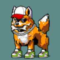 DogePunks #3379