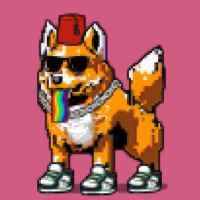DogePunks #1605