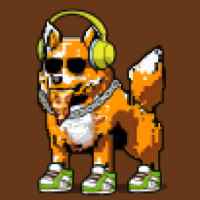 DogePunks #2080