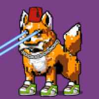 DogePunks #1904
