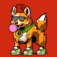 DogePunks #899