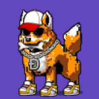 DogePunks #163