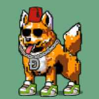 DogePunks #4596