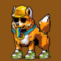 DogePunks #898