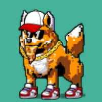 DogePunks #2741