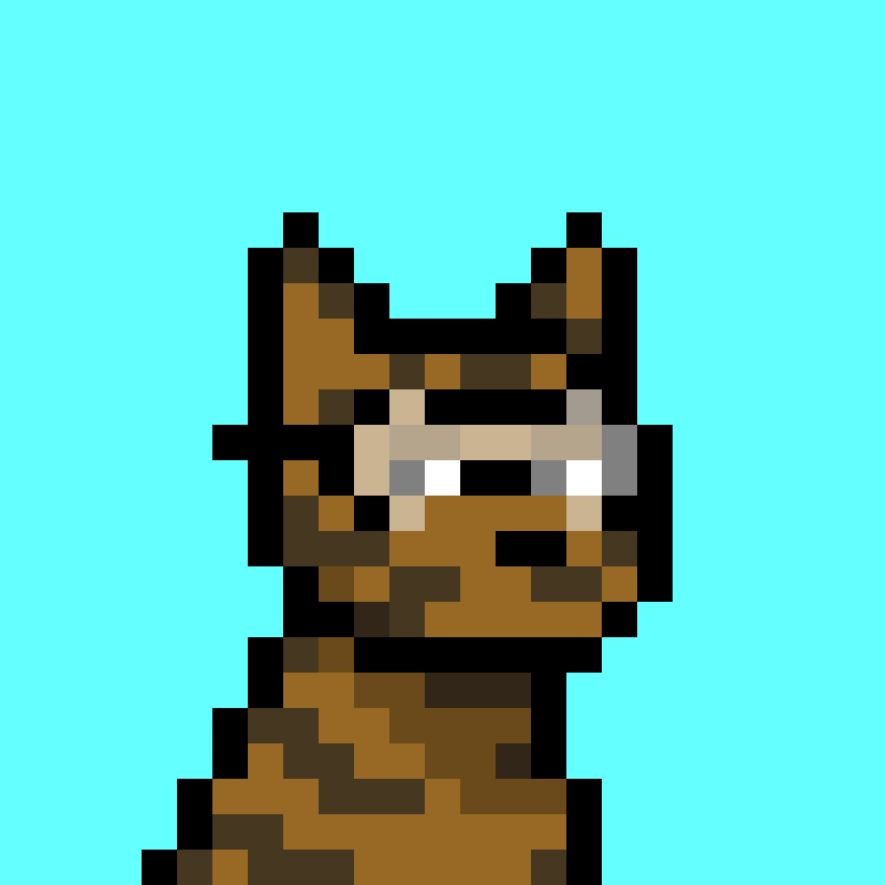 Doginal Dog #817