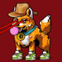 DogePunks #3454