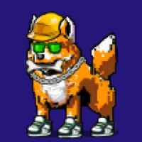 DogePunks #3304