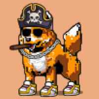 DogePunks #4037