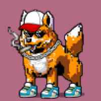 DogePunks #3916