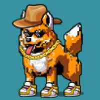 DogePunks #1504