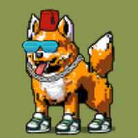 DogePunks #810