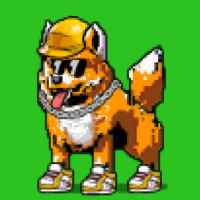 DogePunks #2921