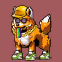 DogePunks #781