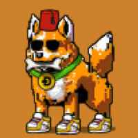 DogePunks #1818