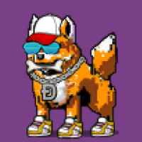 DogePunks #471