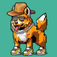 DogePunks #4478