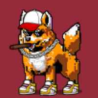 DogePunks #400