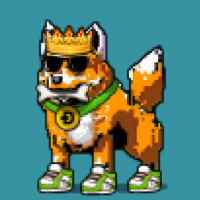DogePunks #2511