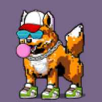 DogePunks #1165