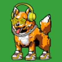 DogePunks #1703