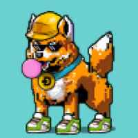 DogePunks #706