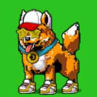 DogePunks #4378