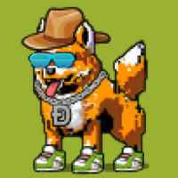 DogePunks #4702