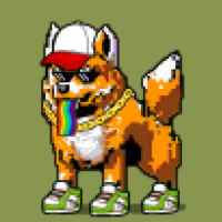 DogePunks #1577