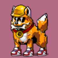 DogePunks #3230