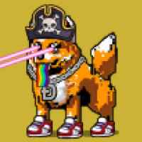 DogePunks #2214