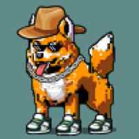 DogePunks #2929