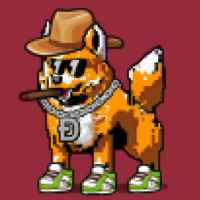 DogePunks #328