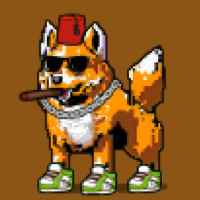 DogePunks #710
